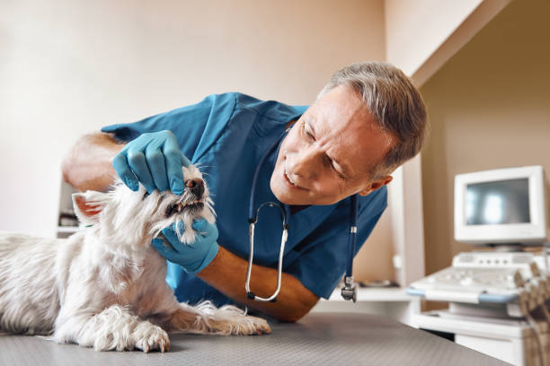 Best 24-Hour Emergency Dentist in Marlin, TX